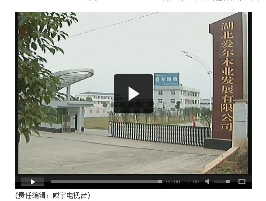 湖北著(zhù)名地板品牌